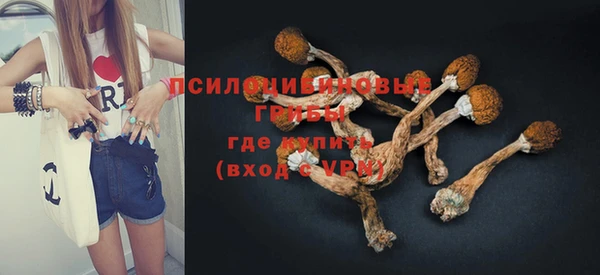 Альфа ПВП Дмитров