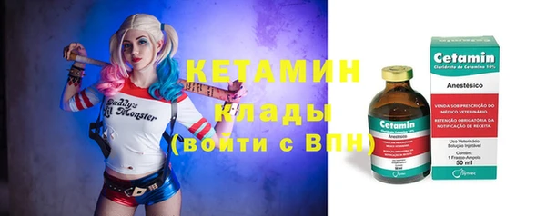 сатива Зеленокумск