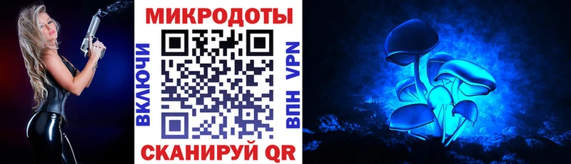 Купить где  Миллерово  Галлюциногенные грибы GOLDEN TEACHER 